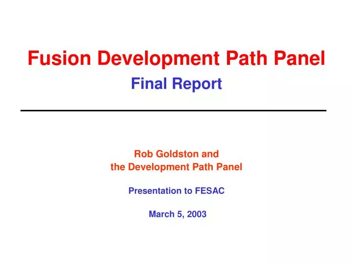 fusion development path panel final report