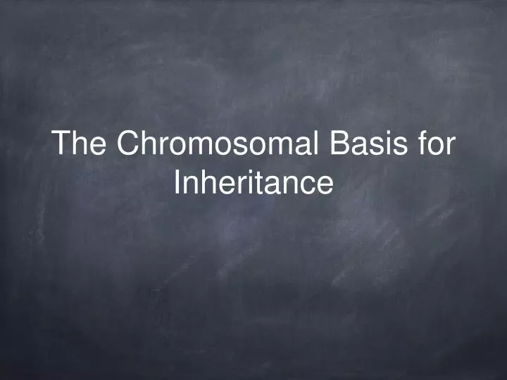 the chromosomal basis for inheritance
