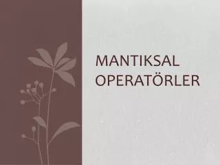 mantiksal operat rler