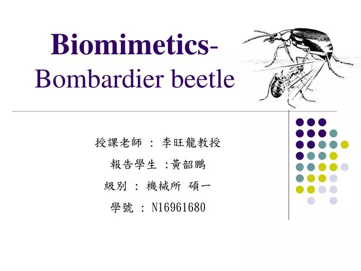 b iomimetics bombardier beetle
