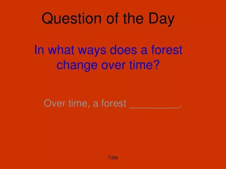 question of the day in what ways does a forest change over time