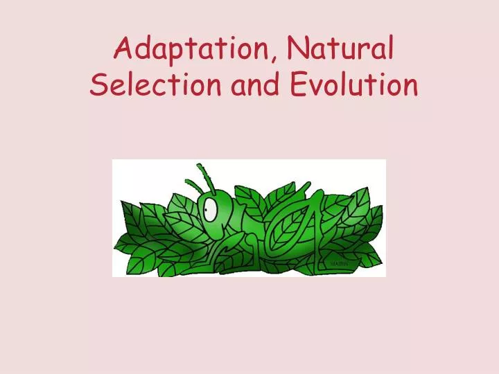 adaptation natural selection and evolution