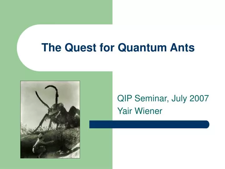 the quest for quantum ants