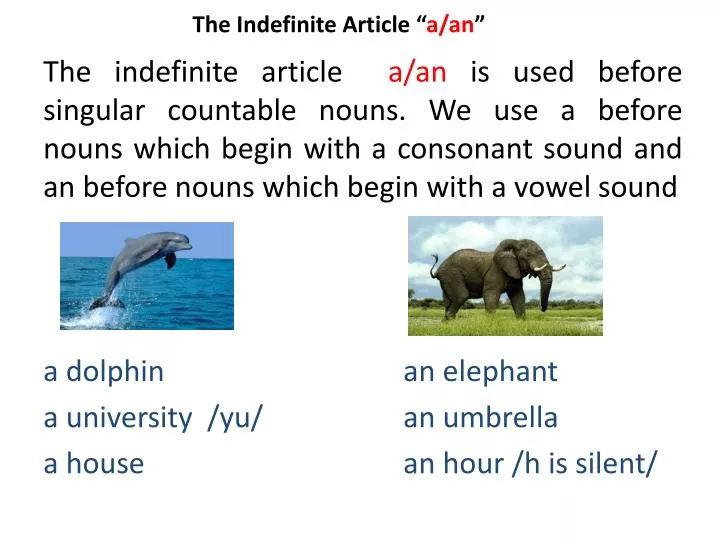 the indefinite article a an