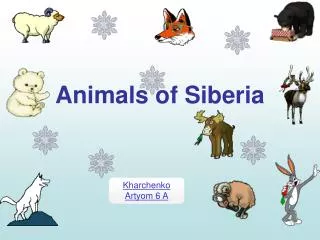 Animals of Siberia