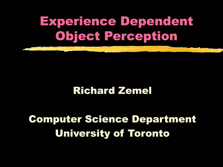 experience dependent object perception