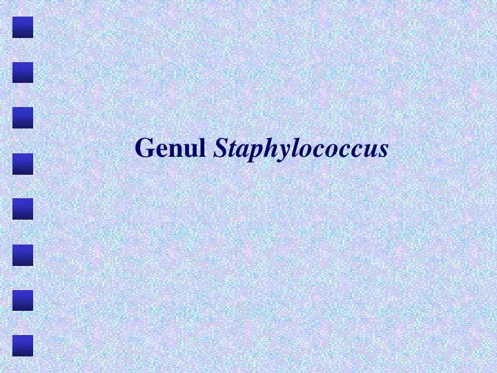 genul staphylococcus