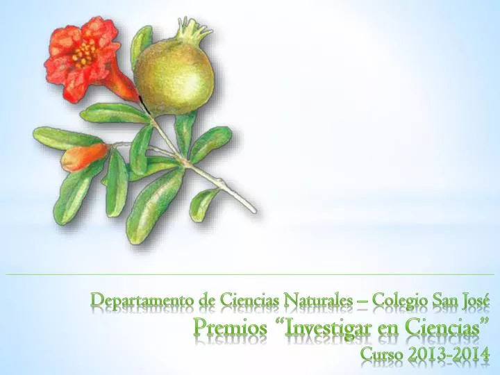 departamento de ciencias naturales colegio san jos premios investigar en ciencias curso 2013 2014