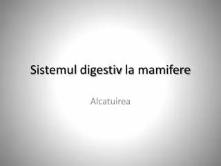 sistemul digestiv la mamifere
