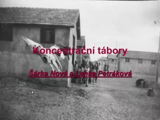 koncentra n t bory