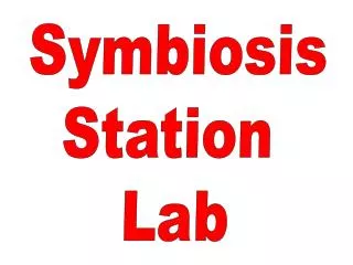 Symbiosis Station Lab