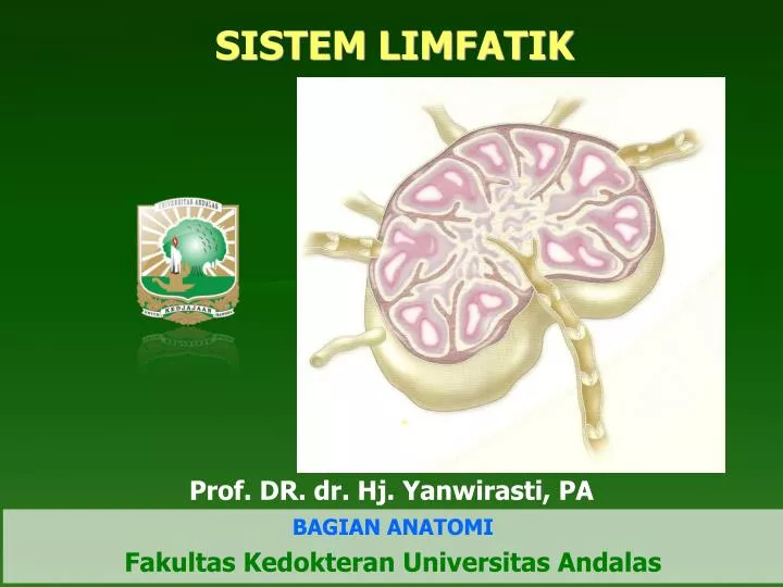 sistem limfatik