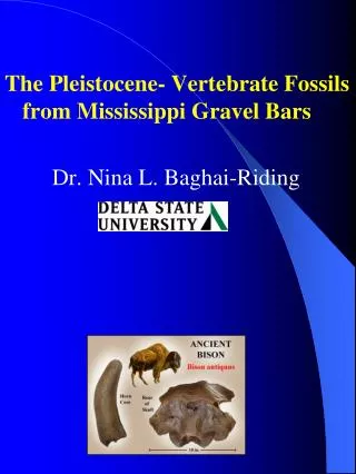 The Pleistocene- Vertebrate Fossils from Mississippi Gravel Bars 		Dr. Nina L. Baghai-Riding