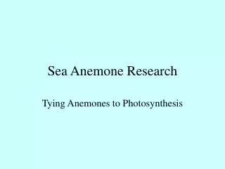 Sea Anemone Research