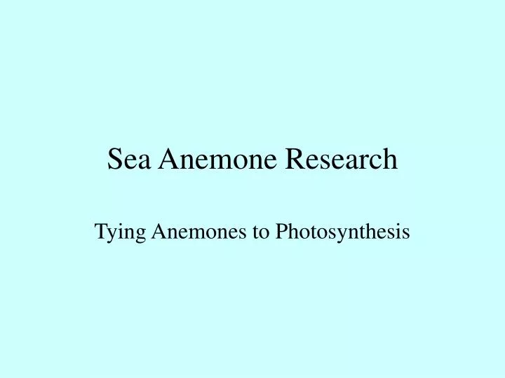 sea anemone research