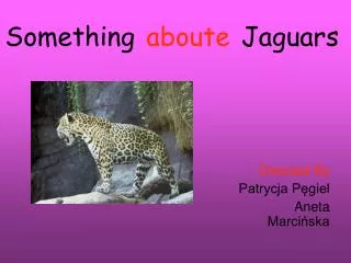 Something aboute Jaguars