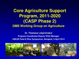 Core Agriculture Support Program, 2011-2020 (CASP Phase 2)