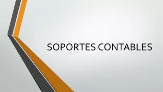 soportes contables