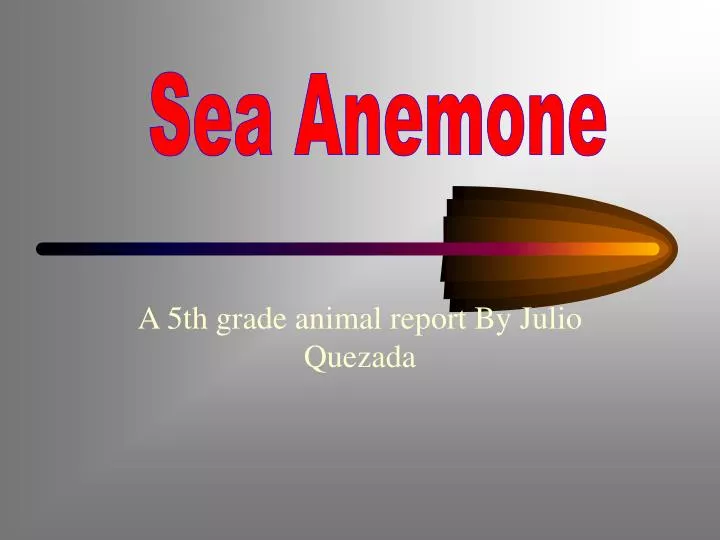 a 5th grade animal report by julio quezada