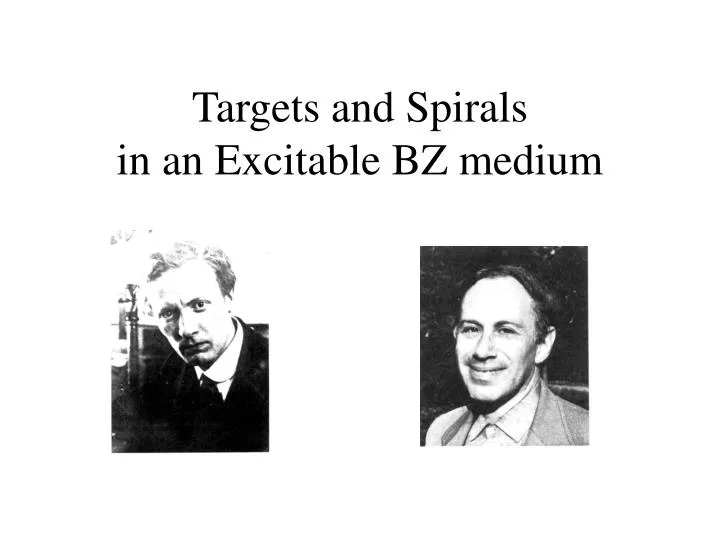 targets and spirals in an excitable bz medium