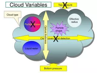 Cloud Variables