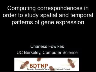 Computing correspondences in order to study spatial and temporal patterns of gene expression