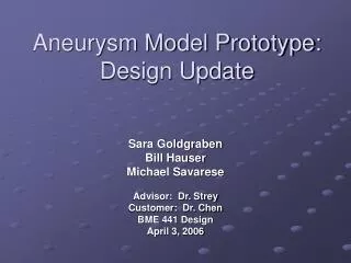 Aneurysm Model Prototype: Design Update