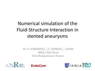 Numerical simulation of the Fluid-Structure Interaction in stented aneurysms