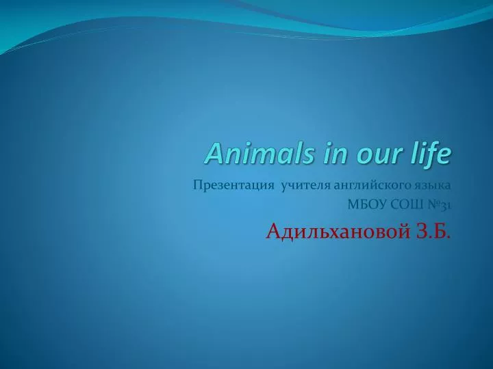 animals in our life