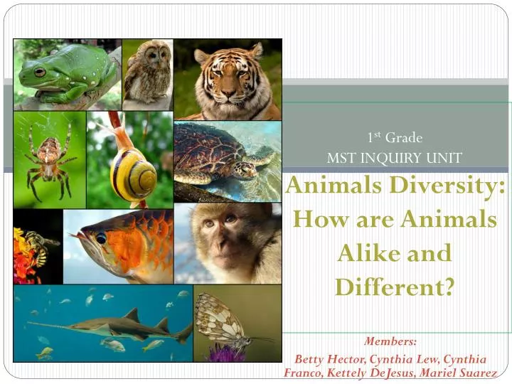 1 st grade mst inquiry unit animals diversity how are animals alike and different