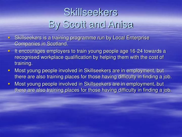 skillseekers by scott and anisa