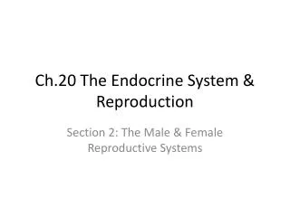 Ch.20 The Endocrine System &amp; Reproduction