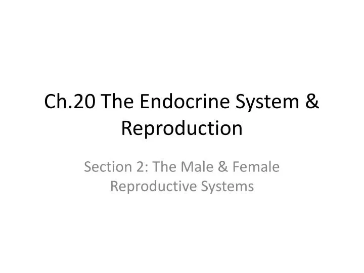 ch 20 the endocrine system reproduction