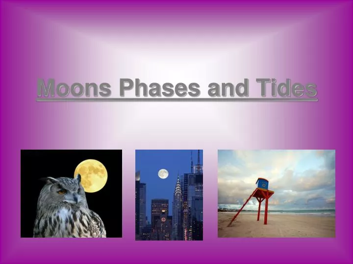 moons phases and tides