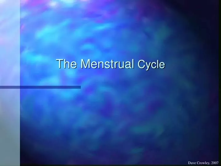 the menstrual cycle