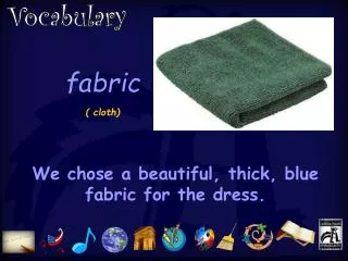 fabric ( cloth)