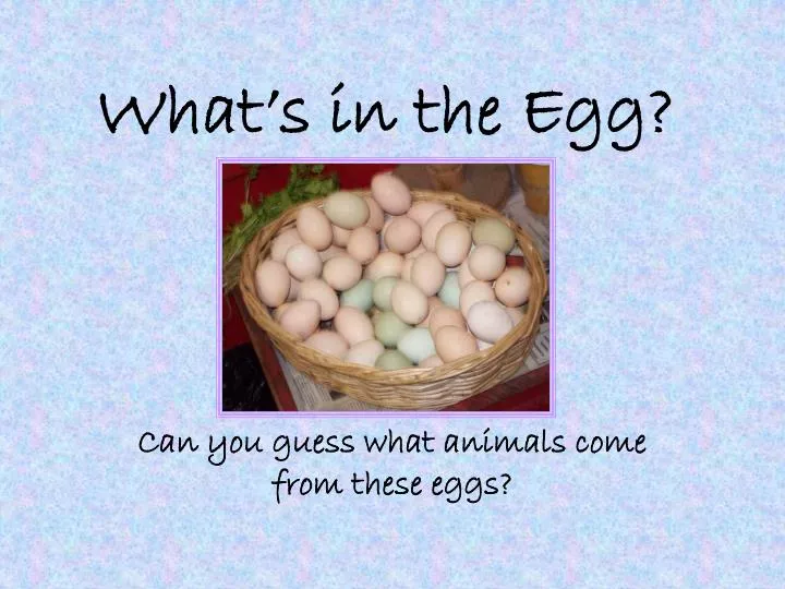 what s in the egg