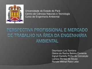 PERSPECTIVA PROFISSIONAL E MERCADO DE TRABALHO NA ÁREA DA ENGENHARIA AMBIENTAL