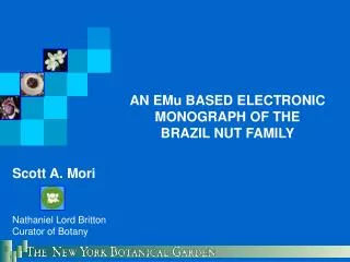 AN EMu BASED ELECTRONIC MONOGRAPH OF THE BRAZIL NUT FAMILY