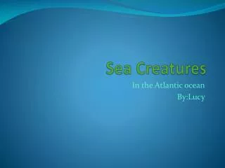 Sea Creatures