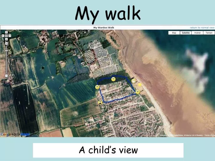 my walk