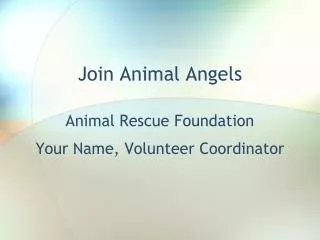 join animal angels