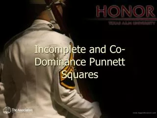 Incomplete and Co-Dominance Punnett Squares