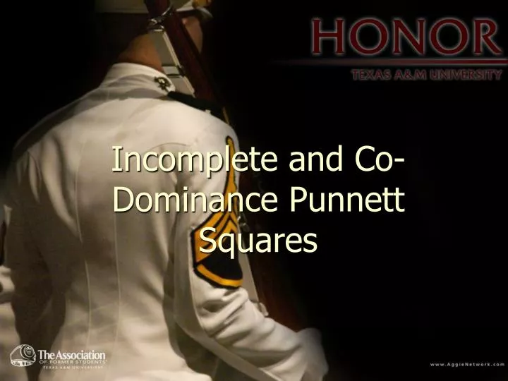 incomplete and co dominance punnett squares