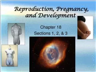 Reproduction, Pregnancy, and Development