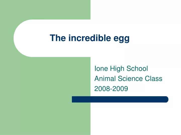 the incredible egg