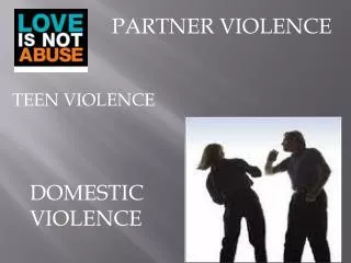 PARTNER VIOLENCE