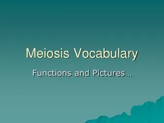 Meiosis Vocabulary