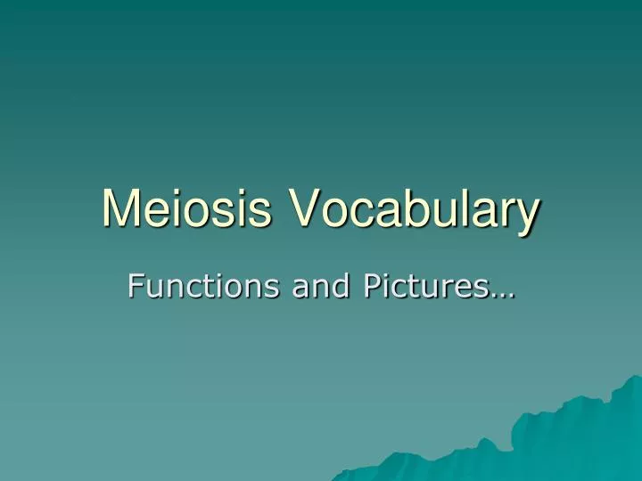 meiosis vocabulary