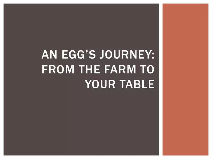 an egg s journey from the farm to your table